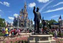 This Week’s Top 5 International News Headlines | United News Network news-12082024-023338