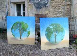 Taiwan’s Environmental Constitution: An Ecological Perspective news-16082024-123548