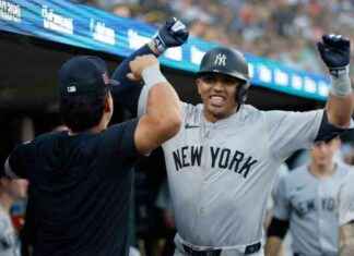 MLB: Former Yankees Player Hits Home Run After 326 Days – Free Sports news-17082024-064025