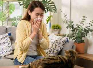 All-Natural Hand Health Method for Allergic Rhinitis Relief: Instant Nasal Breathing Technique news-18082024-233244