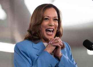 Observation Station: Analyzing the Election Situation as Hebe Haven Serves Beef | United Daily News Online news-19082024-234544