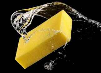 Unleashing Hidden Potential: The Power of Adaptability in Society – TNL The News Lens news-21082024-173001