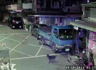 Dog Owner Fined Nearly 5,000 Yuan for Dog Attacking Stray Cat at Houtong Station – Life – Liberty Times News dog-owner-fined-nearly-5000-yuan-for-dog-attacking-stray-cat-at-houtong-station-life-liberty-times-news