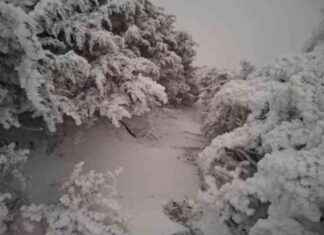 Snowfall on Hehuanshan and Yushan due to Intense Cold Front – Lifestyle – Liberty Times E-NewsSEO-Friendly Title:
Snowfall on Hehuanshan and Yushan Due to Intense Cold Front – Liberty Times E-News snowfall-on-hehuanshan-and-yushan-due-to-ntense-cold-front-lifestyle-liberty-times-e-newsseo-friendly-titlesnowfall-on-hehuanshan-and-yushan-due-to-ntense-cold-front-liberty-times-e-news