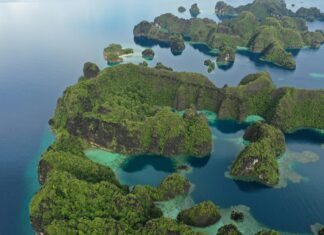 539 Taiwan: Discover Hidden Gems and Secrets of This Island Paradise