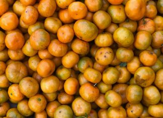 Translate Indonesia Mandarin Taiwan: Unlock Language Secrets Today!