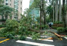 Typhoon in Taiwan Today: What You Need to Know for Safety