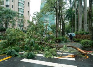 Typhoon in Taiwan Today: What You Need to Know for Safety