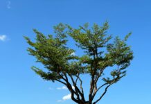 Kurs Dolar Taiwan Ke Rupiah: Apa Dampaknya Bagi Investasi Anda?