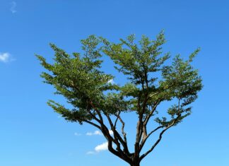 Kurs Dolar Taiwan Ke Rupiah: Apa Dampaknya Bagi Investasi Anda?