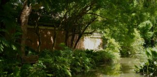 Tukaran Uang Taiwan Ke Rupiah: Temukan Cara Terbaiknya!