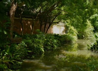 Tukaran Uang Taiwan Ke Rupiah: Temukan Cara Terbaiknya!