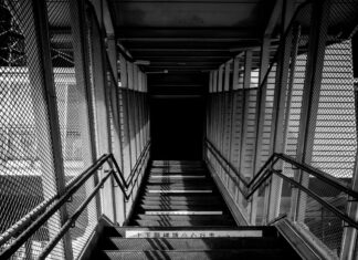 Taiwan Minimum Wage: What You Need to Know for Your Future