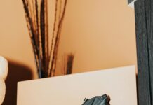 Louis Vuitton Taiwan: Discover Exclusive Collections and Trends