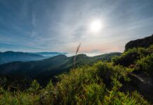 Nantou Taiwan: Discover Hidden Gems and Breathtaking Landscapes
