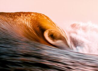 Golden Wave in Taiwan: Discover the Enchantment of Nature’s Beauty