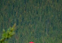 Land Bank Taiwan: Uncover Hidden Opportunities for Your Future