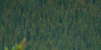 Land Bank Taiwan: Uncover Hidden Opportunities for Your Future