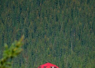 Land Bank Taiwan: Uncover Hidden Opportunities for Your Future