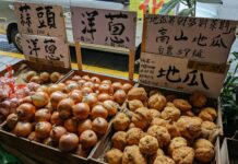 Stuff To Do In Taiwan: Uncover Hidden Gems And Local Delights