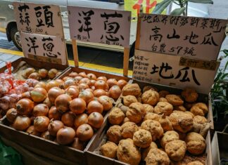 Stuff To Do In Taiwan: Uncover Hidden Gems And Local Delights