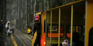 Alishan Hotel Taiwan: Discover Unforgettable Luxury and Nature