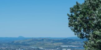 H&M Taiwan: Discover The Latest Trends and Exclusive Collections