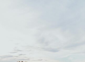 Jadwal Kereta Taiwan: Temukan Rute Terbaik untuk Petualangan Anda