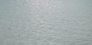 Janfusun Fancyworld Taiwan: Discover The Ultimate Adventure Awaits