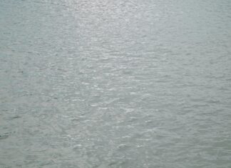 Janfusun Fancyworld Taiwan: Discover The Ultimate Adventure Awaits