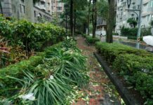 Taiwan Typhoon Forecast: What You Need To Know This Season