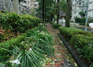 Taiwan Typhoon Forecast: What You Need To Know This Season