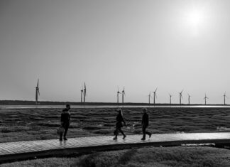 Sepeda Listrik Taiwan: Discover The Future of Eco-Friendly Travel