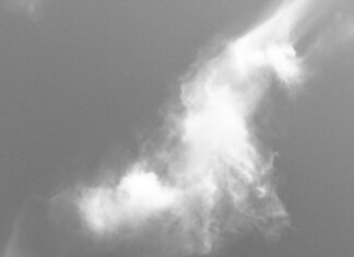 Line Taiwan Office: Discover Innovative Solutions for Your Business