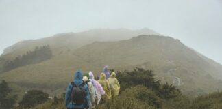 Taiwan Rain Radar: Discover How It Transforms Weather Tracking