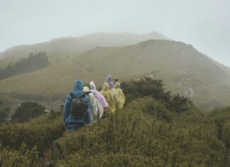 Taiwan Rain Radar: Discover How It Transforms Weather Tracking